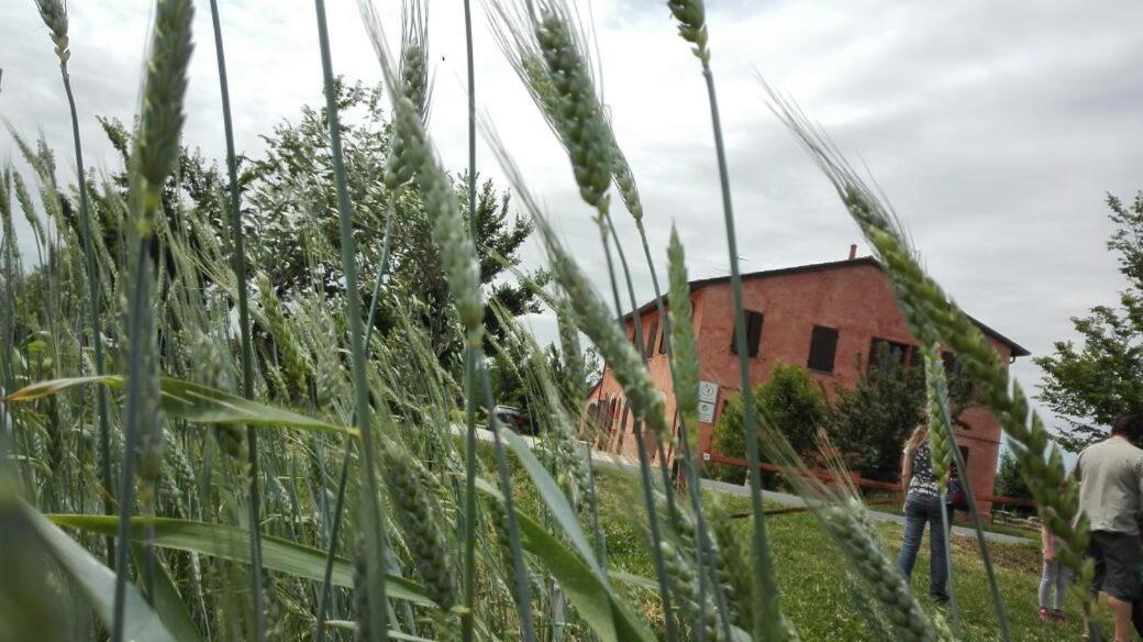 Agriturismo La Lenticchia Fratta Terme Dış mekan fotoğraf