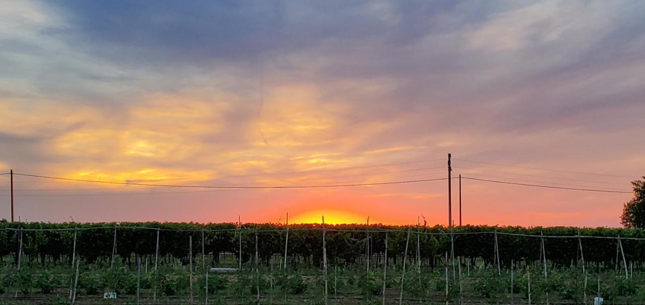 Agriturismo La Lenticchia Fratta Terme Dış mekan fotoğraf