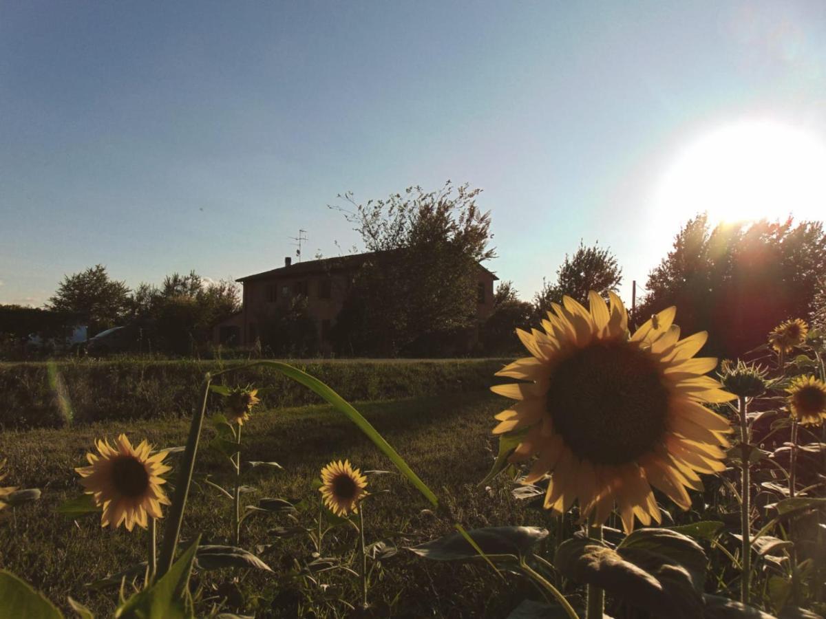 Agriturismo La Lenticchia Fratta Terme Dış mekan fotoğraf