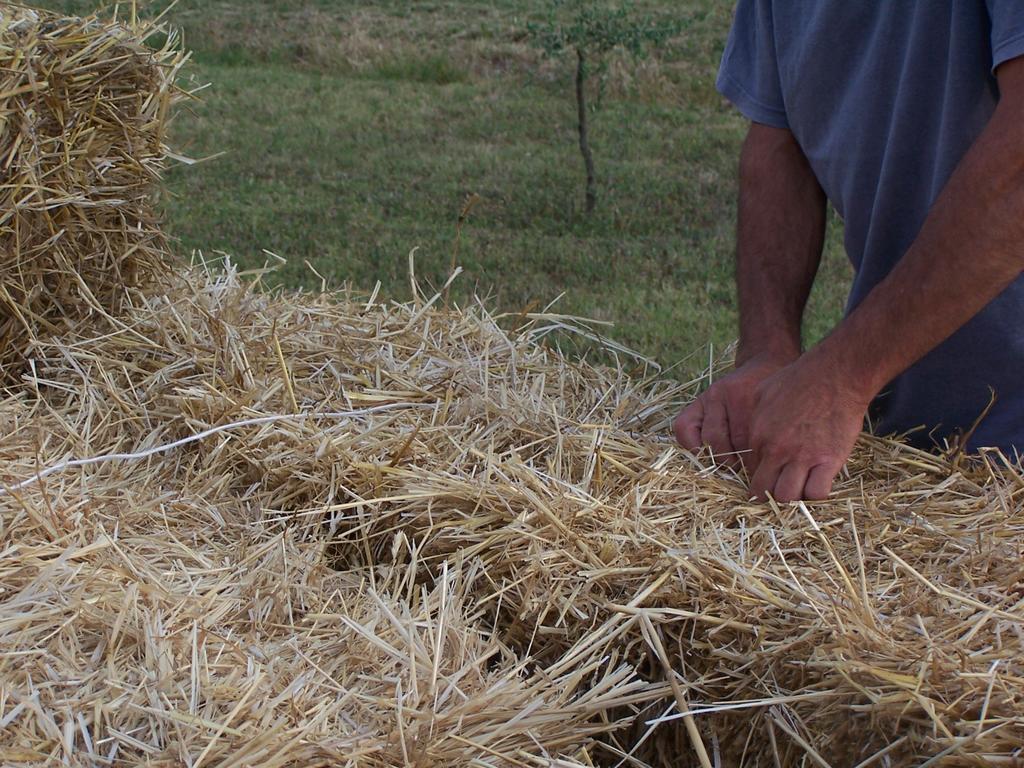 Agriturismo La Lenticchia Fratta Terme Dış mekan fotoğraf