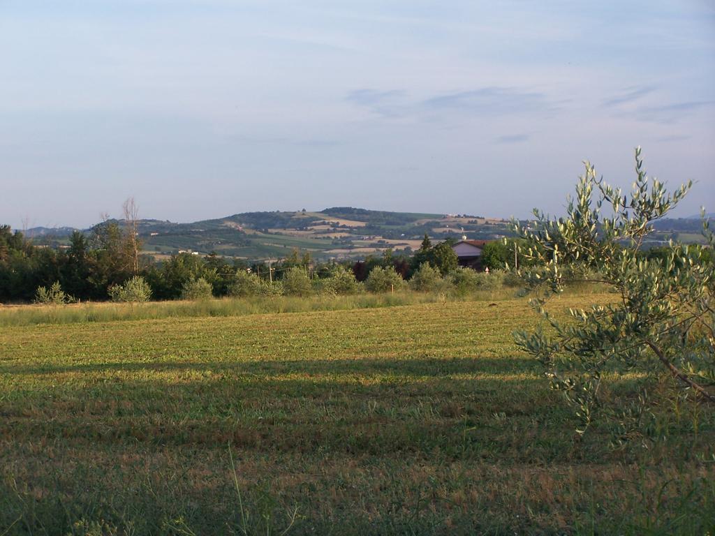 Agriturismo La Lenticchia Fratta Terme Dış mekan fotoğraf