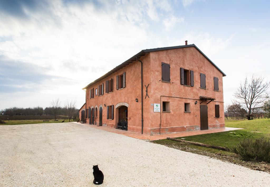 Agriturismo La Lenticchia Fratta Terme Dış mekan fotoğraf